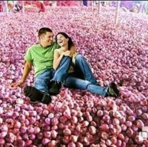 Meet your Posher, Hanshvi